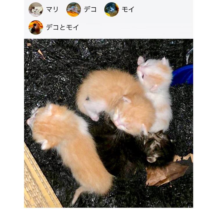 0a4fbc79 4661 4b41 b138 662af0e336ab 1558016560752