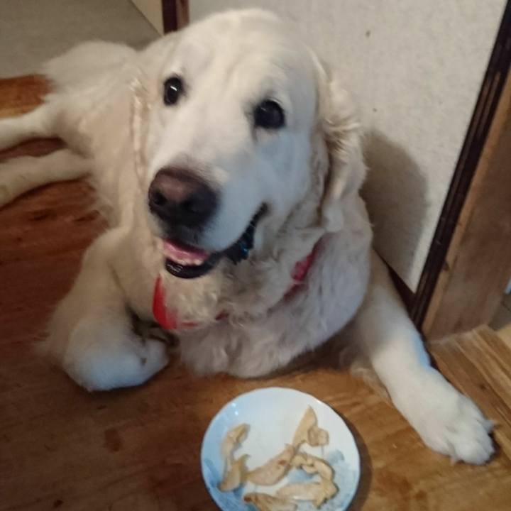 0a4fbcd3 f925 40db 95f7 3648fbe23b71 1528455622108