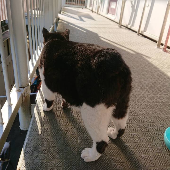 0a4fd5c1 a49a 4341 ab9e 60dcb1af042a 1558742608069