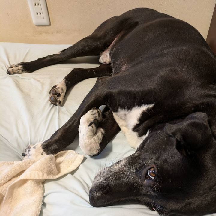 0a4fd945 e588 43ef 8cb2 fdb2cf2c90bb 1727003717451