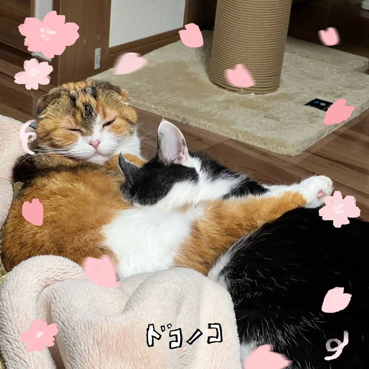 0a4fe535 dfb9 42a7 bb9b bf5c76d8e8d4 1744634088890