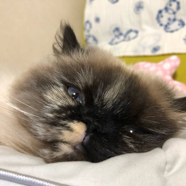 0a500530 fec8 48b8 8919 1358816a6658 1643430785734