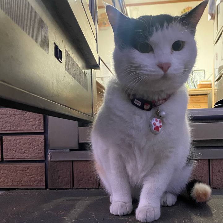 0a5025a5 f2d9 4aa5 a820 a1adbe75e887 1642543844900