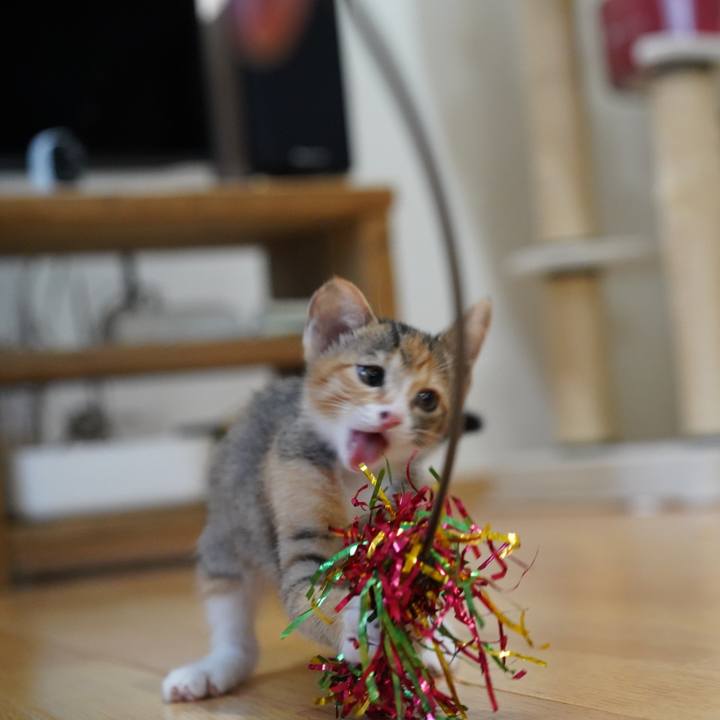 0a503ffd 4c8a 4765 8ea5 ff1018c1cf5c 1567917045204