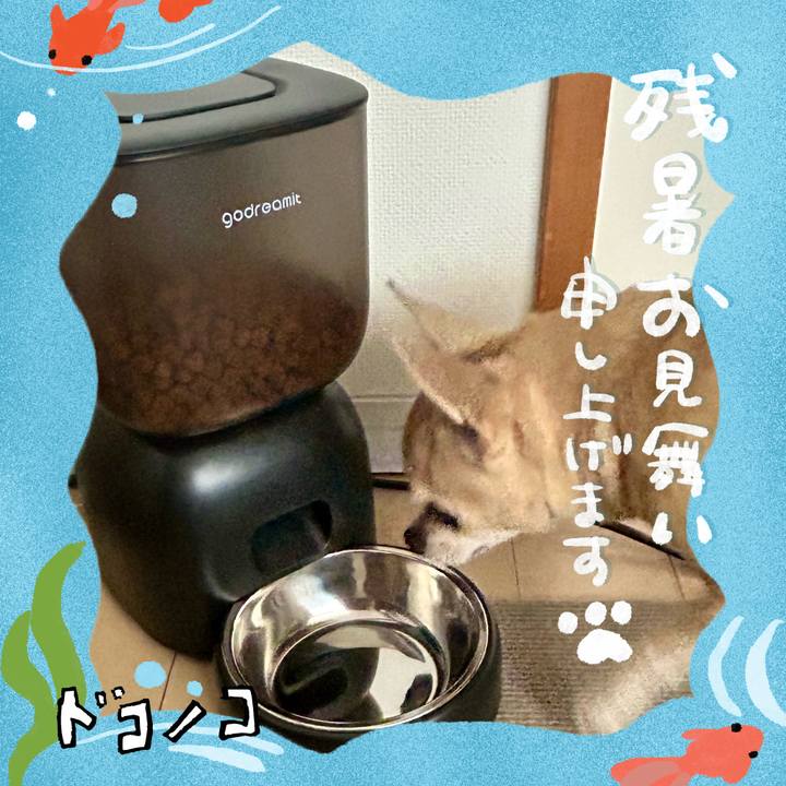 0a505a0c 7488 4791 93ec bce4e996537b 1723274829243