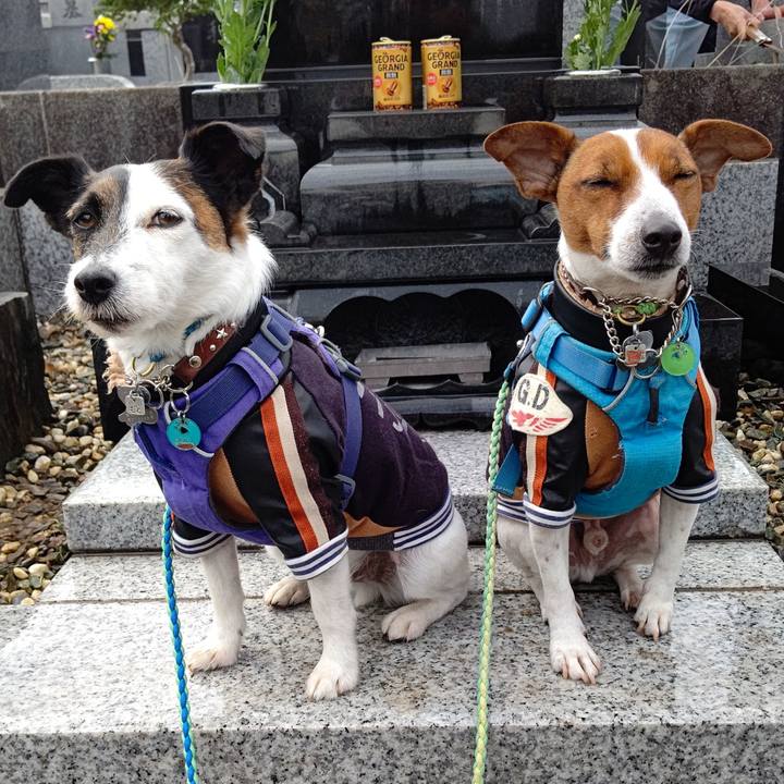 0a507688 035b 4fd7 8efc 56f7df7b11f0 1647831091761