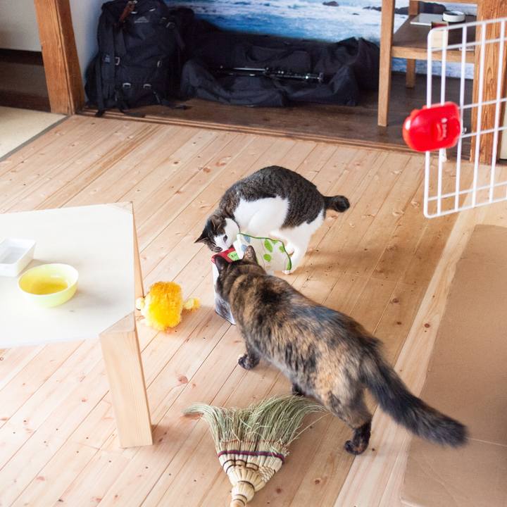 0a5078f4 107b 40fb b835 e3d4768c1b3e 1580260772390