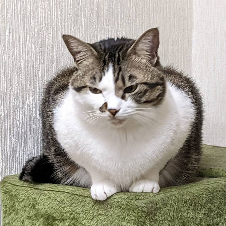 0a50a27d 6b8a 439b bc1c 4b49ccf4f101 1667645215256