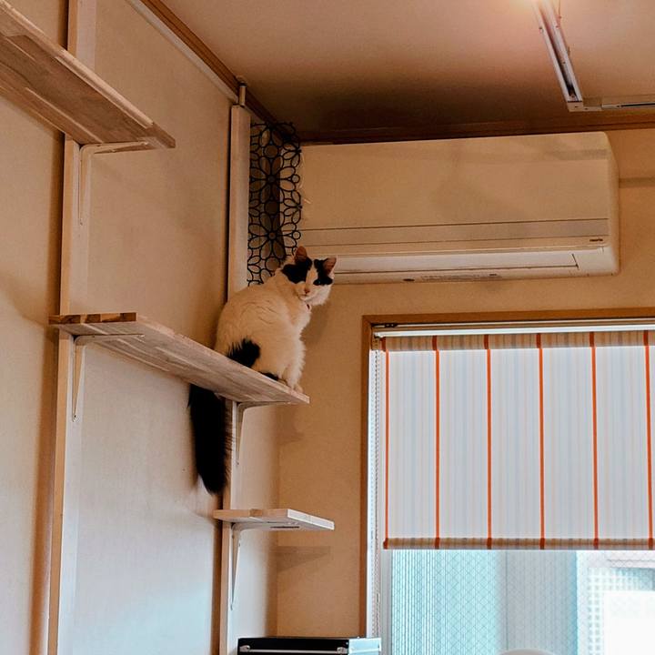 0a50b5dd 0aa6 4062 9a16 a8118481fe83 1770428740688