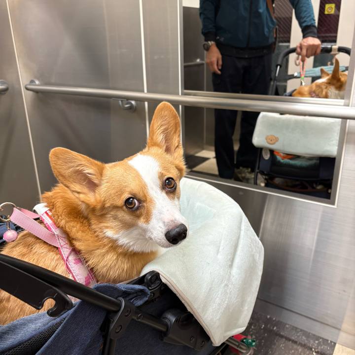 0a50e7f8 a905 49e6 a8d3 f1864c3a80d8 1768702538119