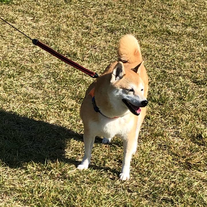 0a50ef4b ef88 47e7 b648 be40314e48a6 1603773872118