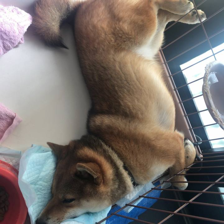 0a511366 d3cb 4d4c 9478 bf57dfa0446d 1530598039778