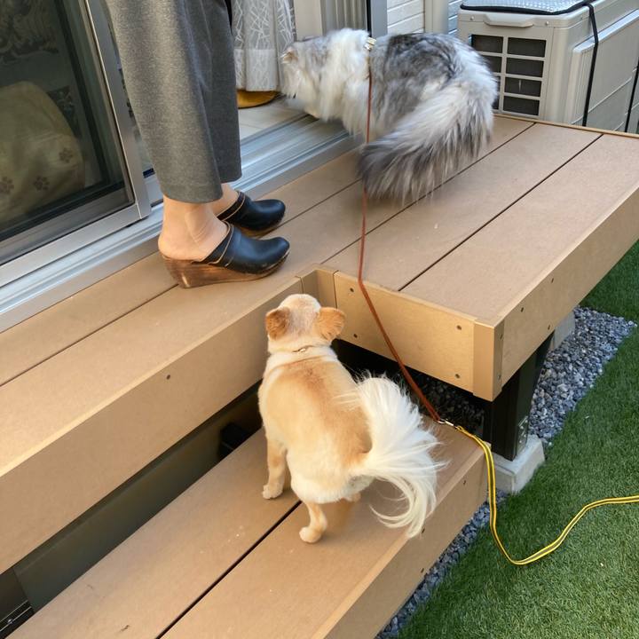 0a513bf5 0914 47a1 93ec 8c4f931a0a61 1636853392918