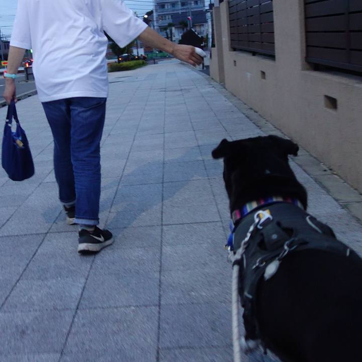 0a51508f d9fc 4a69 ae86 d615b7f1e1a1 1654425655968