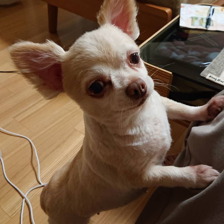 0a516712 619f 419e a0a6 595a80533221 1563277712092