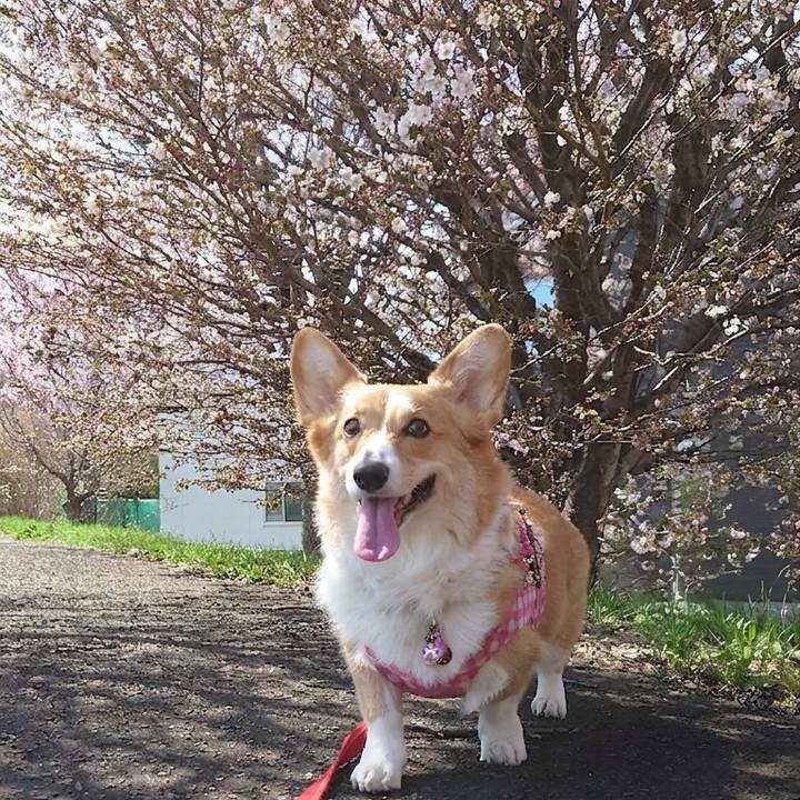 0a51bd42 5b84 4aa3 85a7 0b97434ab9fc 1776578667206