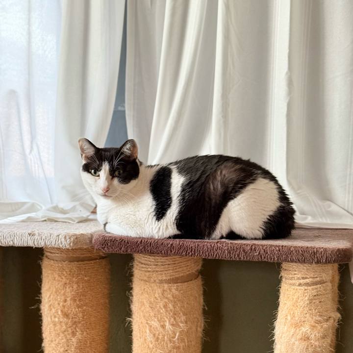 0a51c395 a2ae 4d7e a38f a3ae1a7dd522 1731633631241