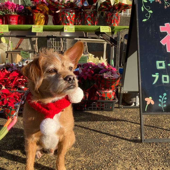 0a51f575 74e7 41e0 b331 7a4725a17436 1671440579669