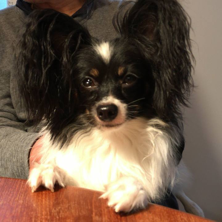 0a520475 a995 4cb3 9759 2418ee5310d7 1508103626381