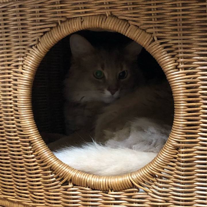 0a5206ac 7dc6 429a 9f55 505da9f33bb6 1581947168588