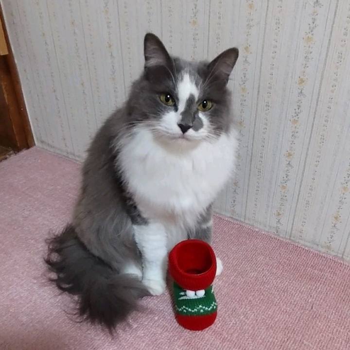 0a5234e3 ac2b 4729 942a 4c9cdb7909e1 1640346903895