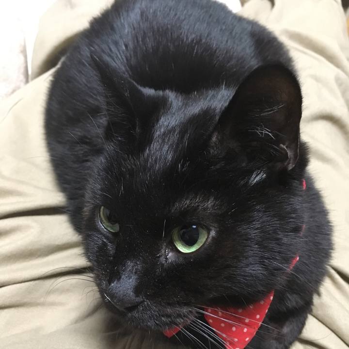 0a525b64 e864 4c9d a056 2667f1324e9c 1546867891004