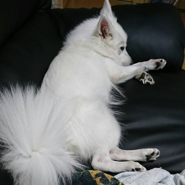 0a527366 cd61 4730 9655 8f02bd2a74dd 1508829638689