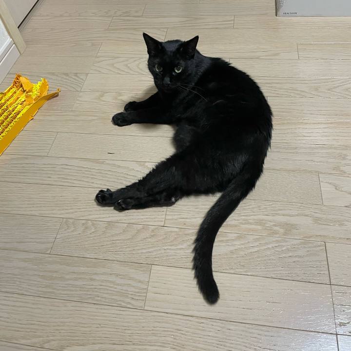 0a52a019 75f7 4d8c b075 c40b3320e330 1747485113032