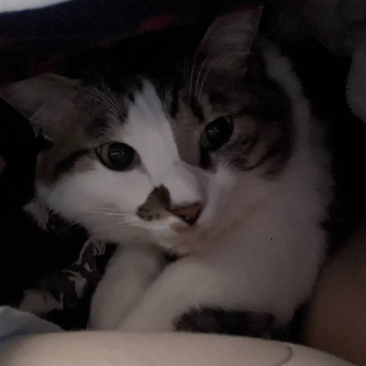 0a52a3e7 194a 4f55 9126 adea8f5f9e0b 1708083312351