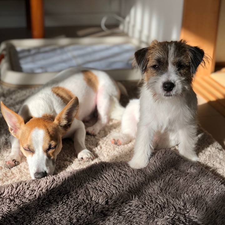 0a52ac83 f837 4b5e ae53 10357b0247c3 1578098580128