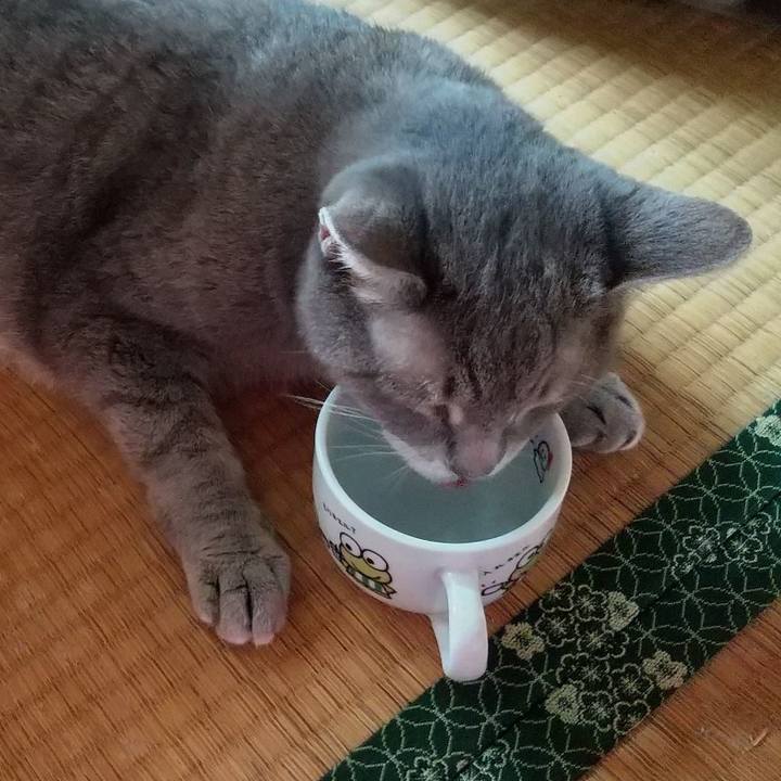 0a52b8d1 891b 4165 b7f7 15c8be790ddb 1662878905488