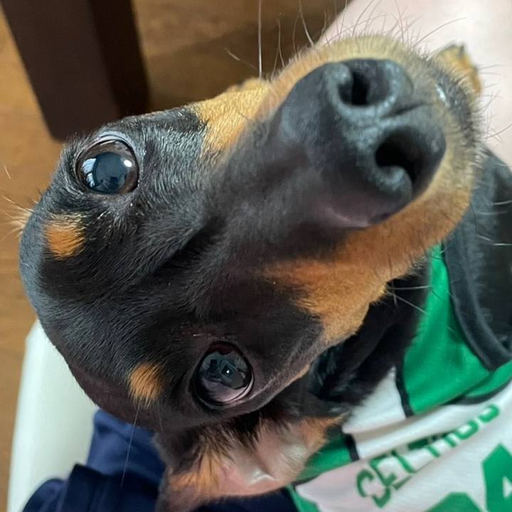0a5305cc ca53 40bd 86fc 1c640ee22069 1623378096267