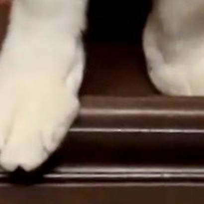 0a53201d 257e 4102 8dac 327e2d5d9bfa 1732786696788