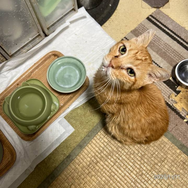 0a533e9f 23d1 468d 9a1d e082d8acc51e 1762812513936