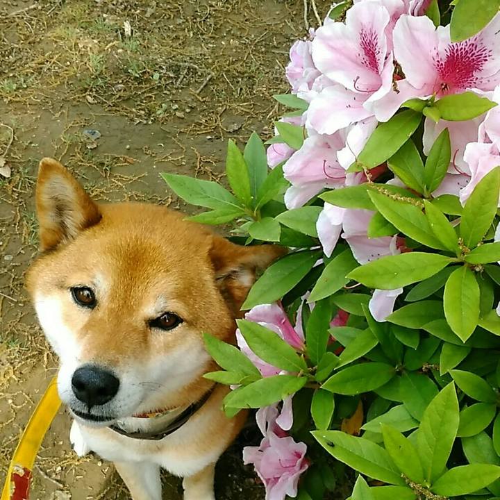 0a534e8b de81 4860 9dd1 4e52d2973d76 1556864007168