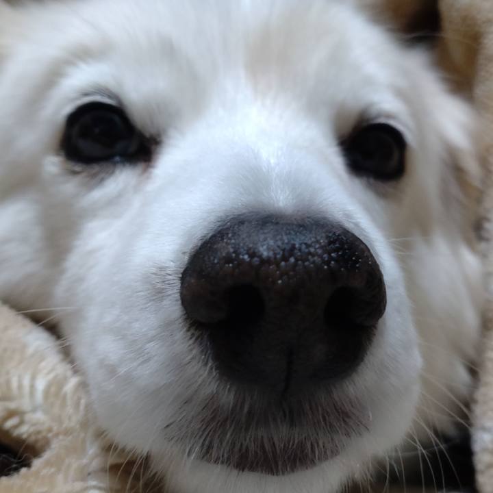 0a535879 0940 4615 8eac bc1b7a55421d 1646864222345