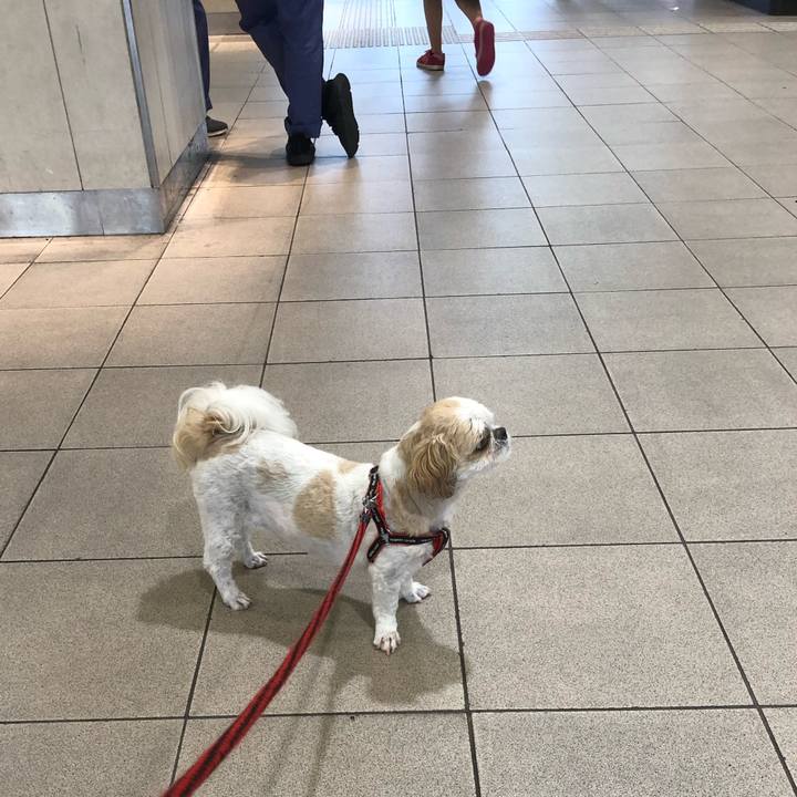 0a536ebc 447b 4879 8035 a8a57dbed33c 1564091208094