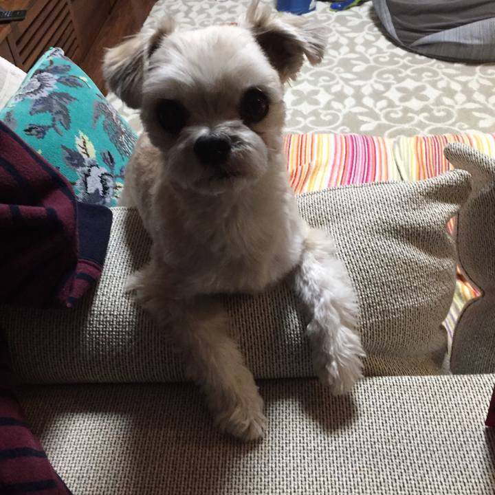 0a538dbd 5179 4932 bcc7 9ac7fc7ff8d9 1548326342974