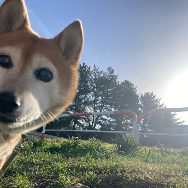 0a539b74 12dc 48b8 85b3 84c6d7700d57 1709077968508