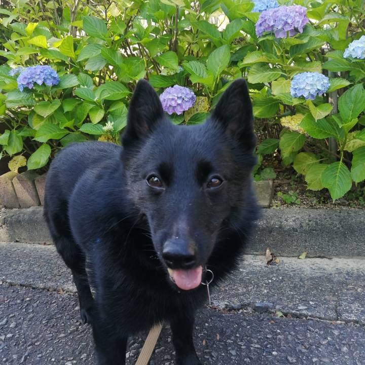 0a53dd25 53b1 4ac6 8e4f 3b1599583d6a 1622243598440