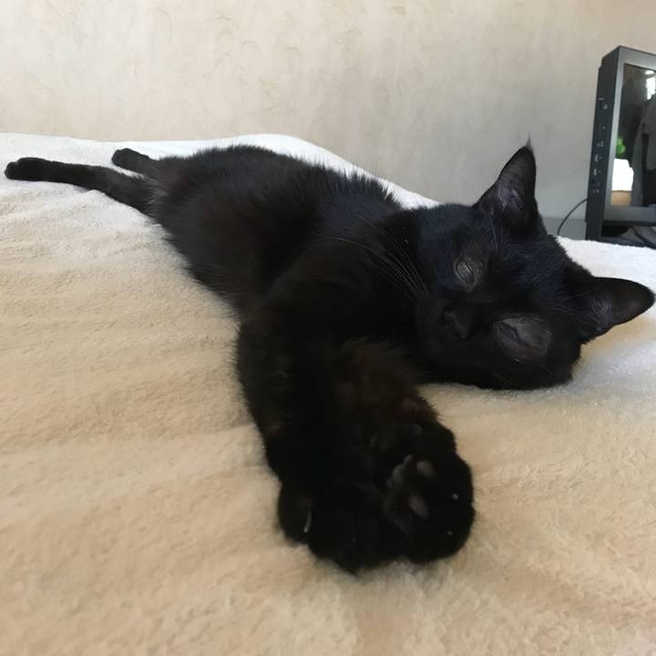 0a53f770 bbf4 4c93 968f 93acbc4f5d66 1534511305173