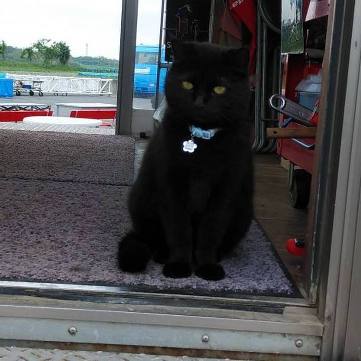 0a5428d1 a53b 4e84 b384 2aba29292d7a 1590104883626