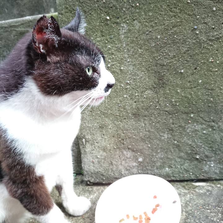 0a542a21 770c 41a0 8032 756b5d10babf 1689851674577