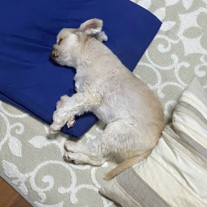 0a542c0a 5433 428b 9bb8 c24b8f7f7d45 1730557114968