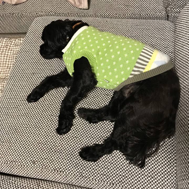 0a5439a6 187d 484c 83d9 d4fe76824dc7 1544484794588