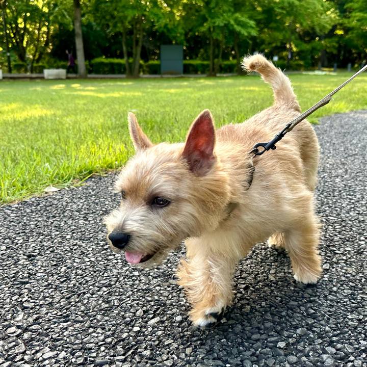 0a5441ae edb1 4d03 931e 1d28c7afd2c7 1714838273858