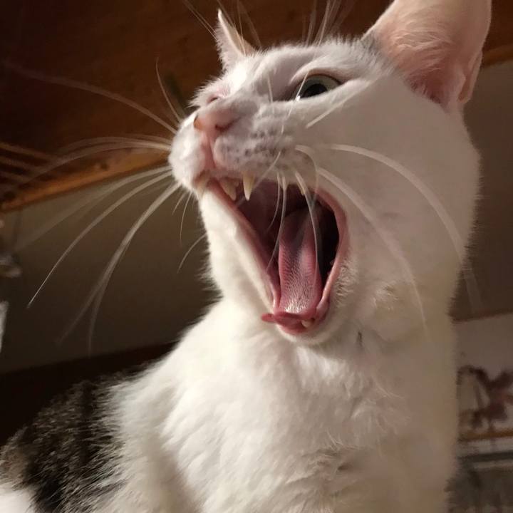 0a54470d cf1e 45df b07a d13fef3e62f6 1537609755491