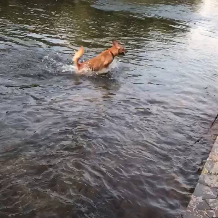 0a546cbb 8501 4a8c 8d40 2d7be7104080 1518837904281