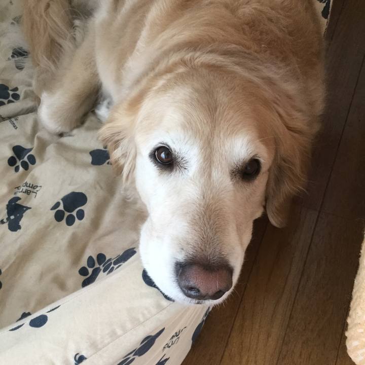 0a54b8c3 5373 4d53 8fa9 565467181fda 1558307847372