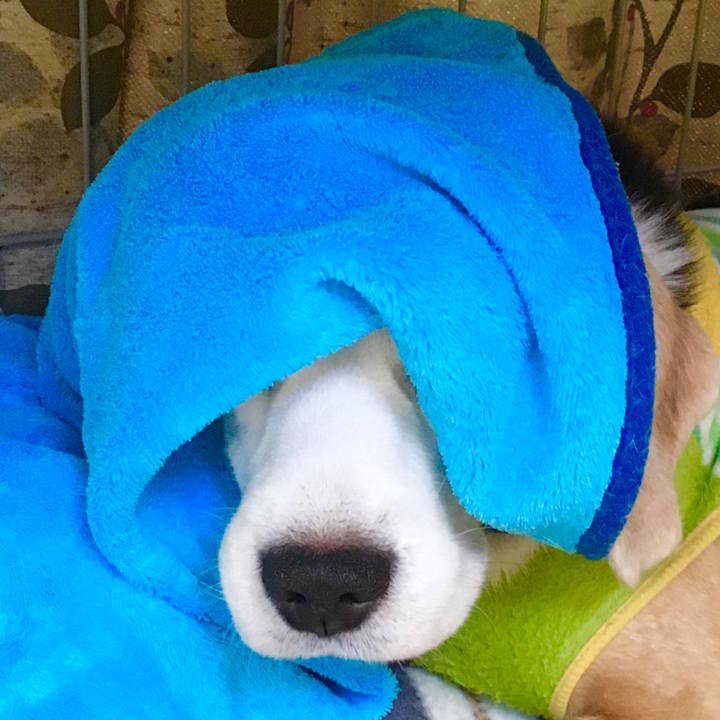 0a54e7a4 fc9c 41bd 9fba 2079d8616bec 1575344260841